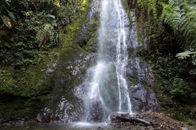 Imagen Medellín, ciudad de reservas naturales (5)