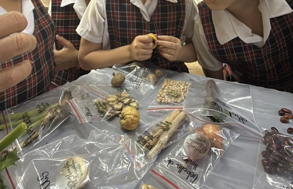 Saberes ancestrales en San Cristóbal Imagen Medellín fortalece la transmisión de saberes ancestrales en San Cristóbal (6) siembra