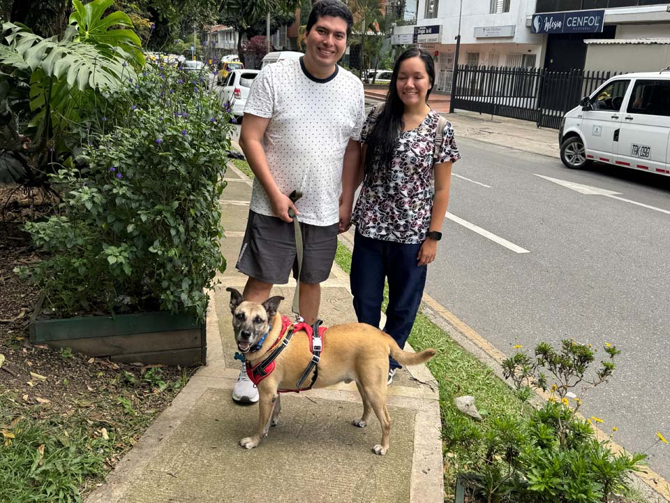 Imagen Odie El perro que esperó 13 años en La Perla foto Foto 3