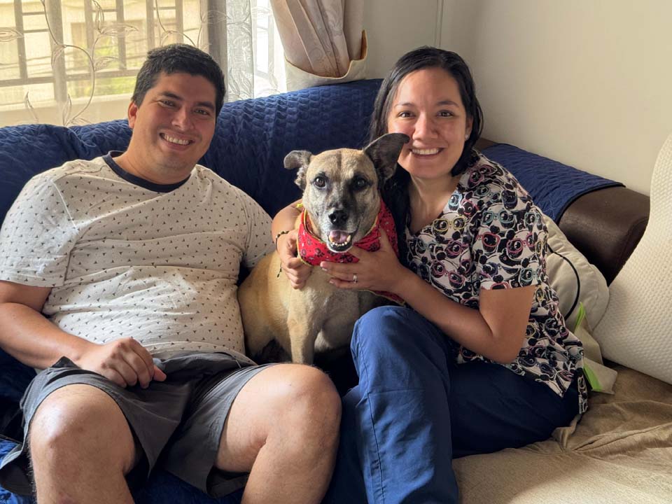 Imagen Odie El perro que esperó 13 años en La Perla foto foto ppal