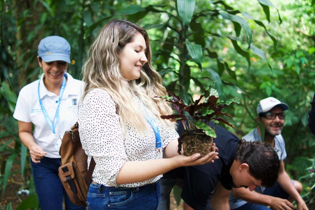 Imagen estrategia de árbol hábitat foto 1