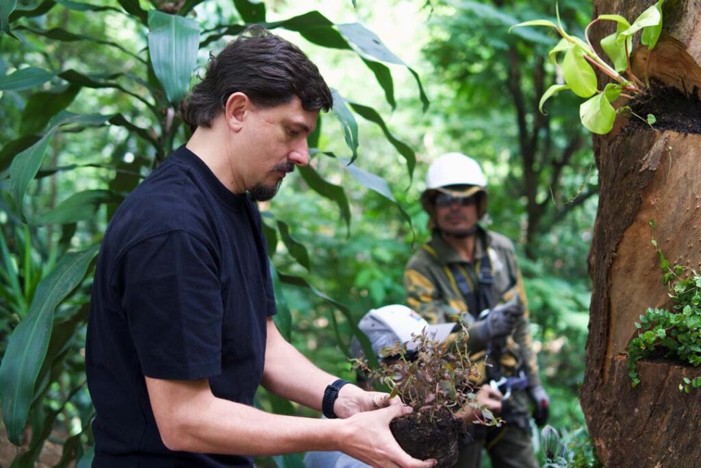 Imagen estrategia de árbol hábitat foto 2