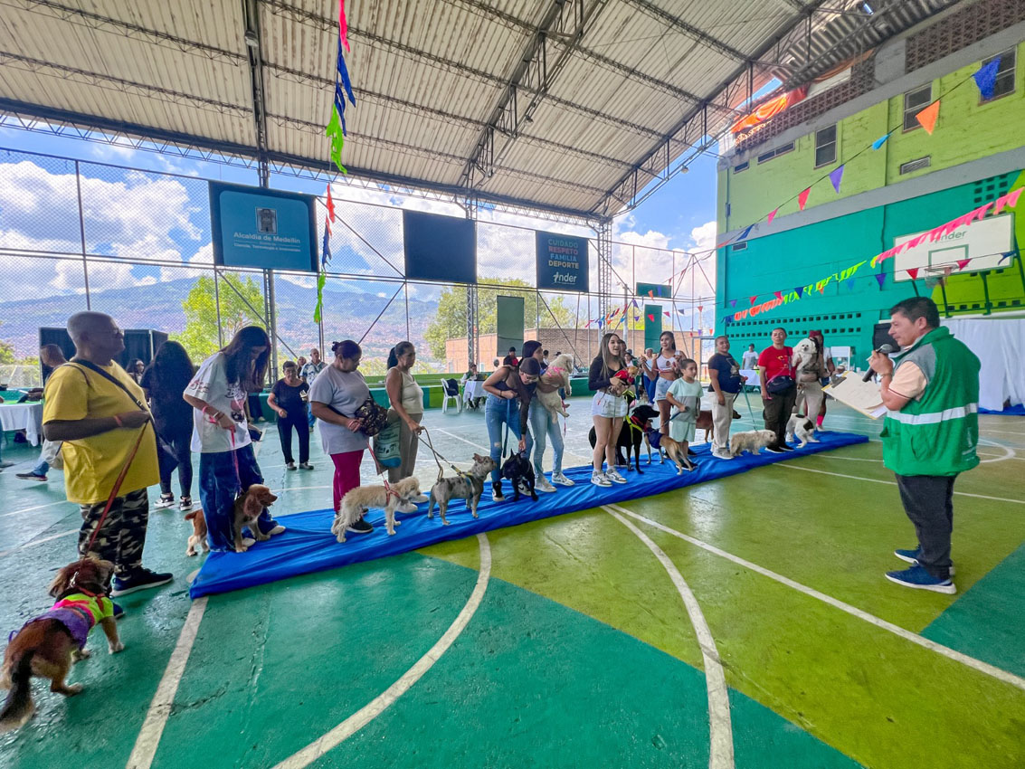 Imagen ferias fomentan el cuidado de los animales (1)