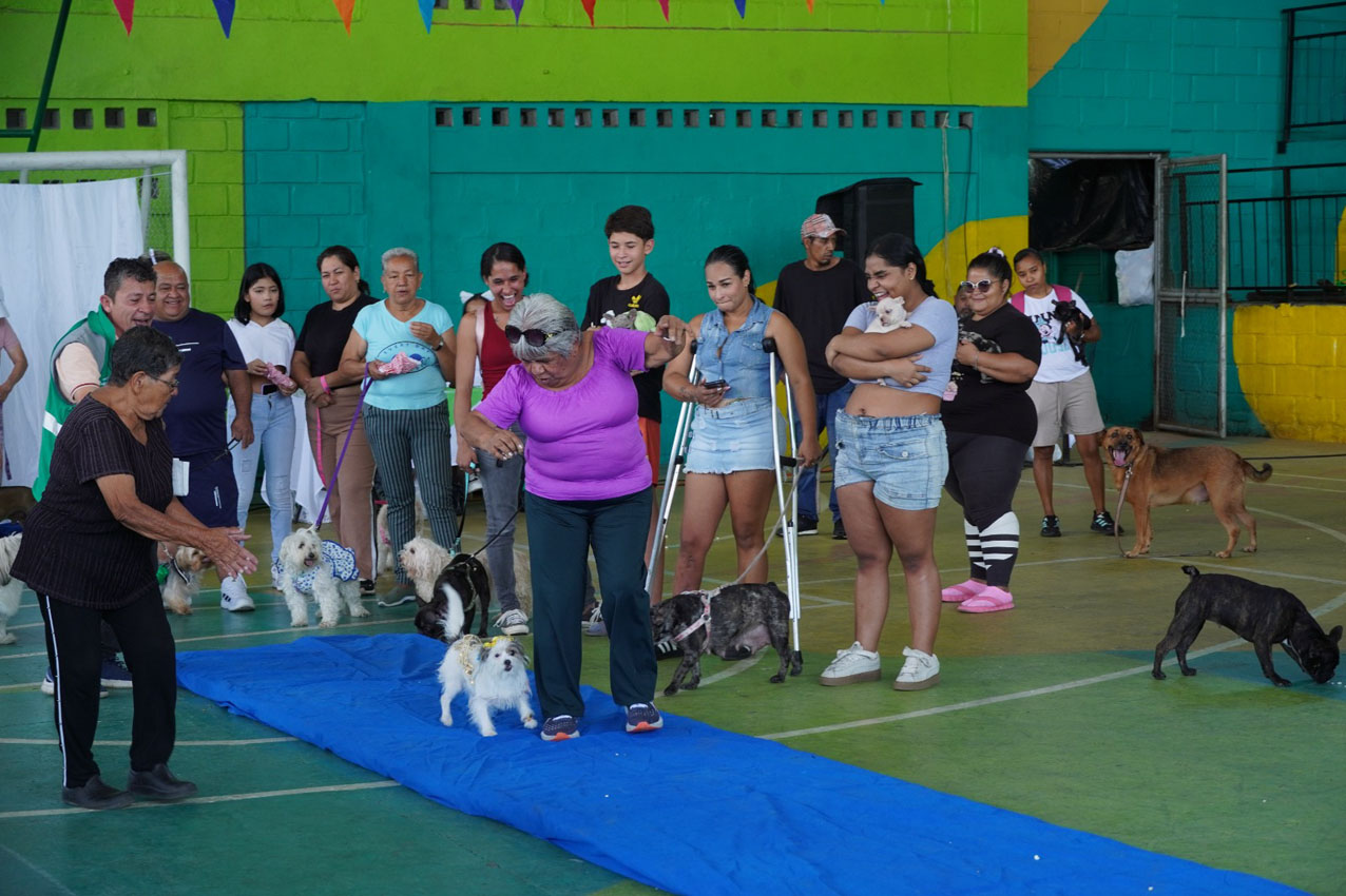 Imagen ferias fomentan el cuidado de los animales (4)