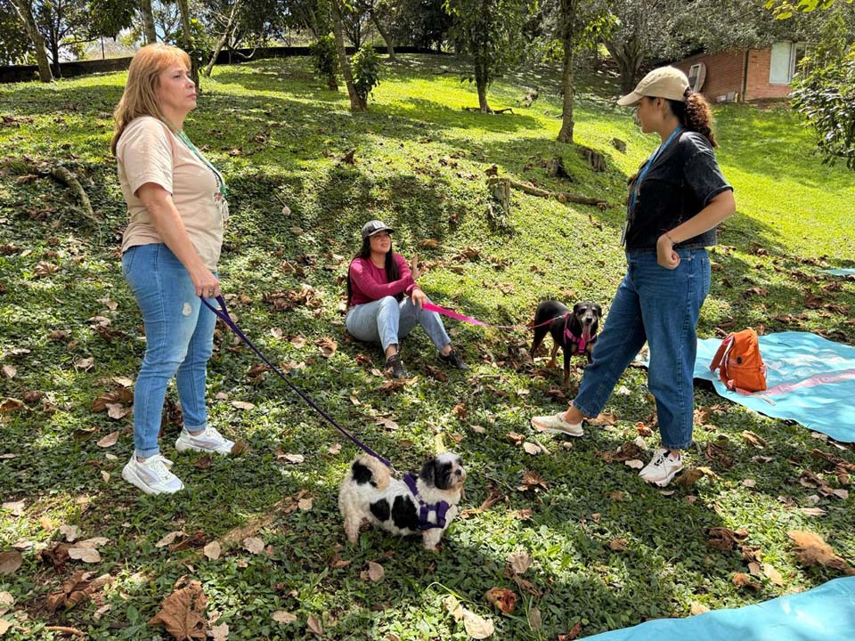 Imagen los perritos más veteranos de La Perla en Medellín (1)