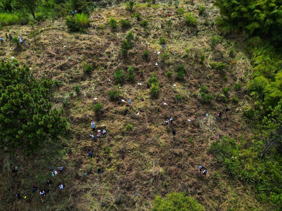 Imagen Cerro siembras