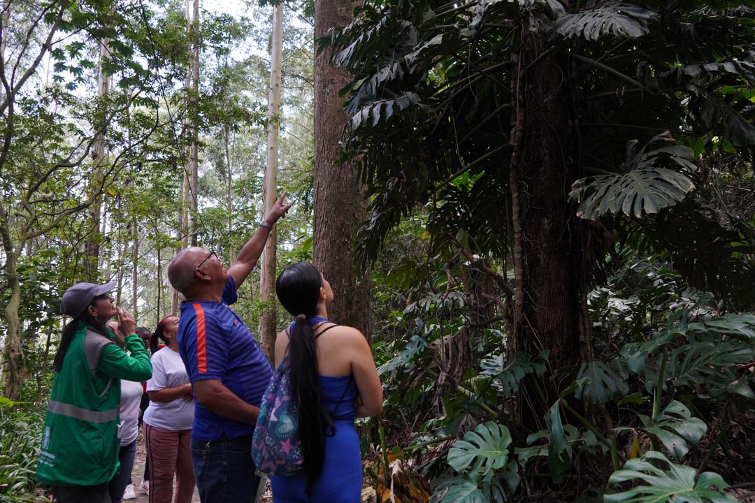 Imagen Altavista de Medellín un aula a cielo abierto (13)