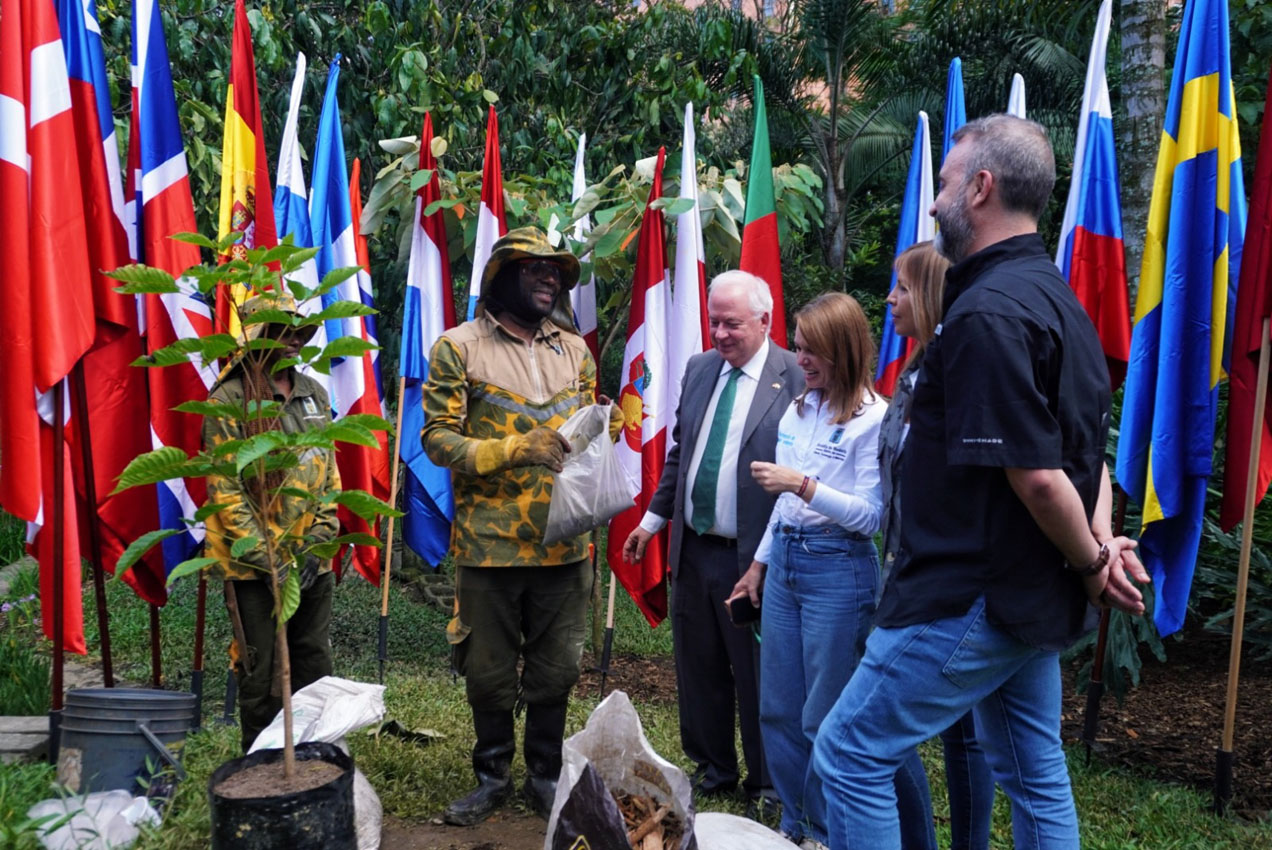 Cuerpo Consular le regala a Medellín 350 árboles Imagen El Cuerpo Consular le regala a Medellín 350 árboles (3)