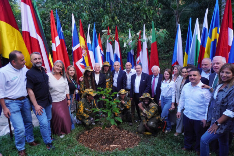 Imagen El Cuerpo Consular le regala a Medellín 350 árboles (5)