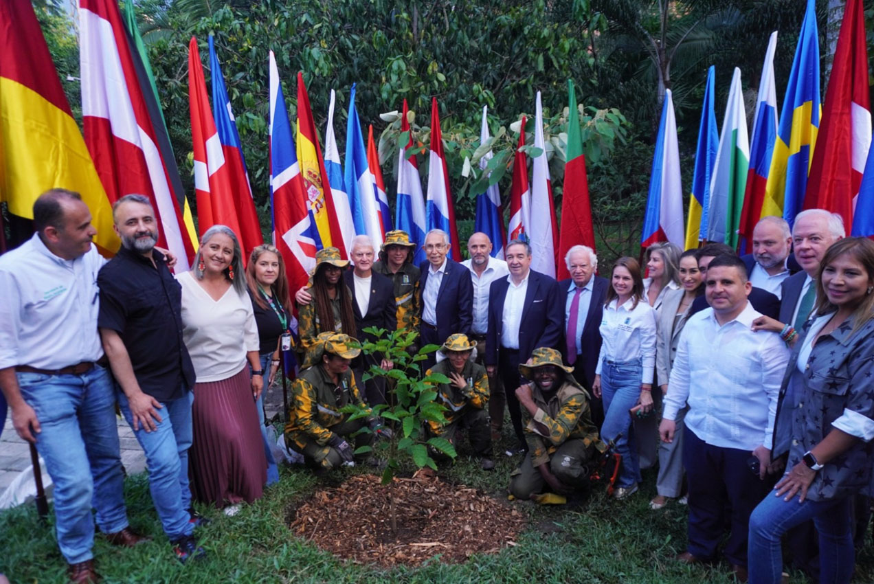 Imagen El Cuerpo Consular le regala a Medellín 350 árboles (5)