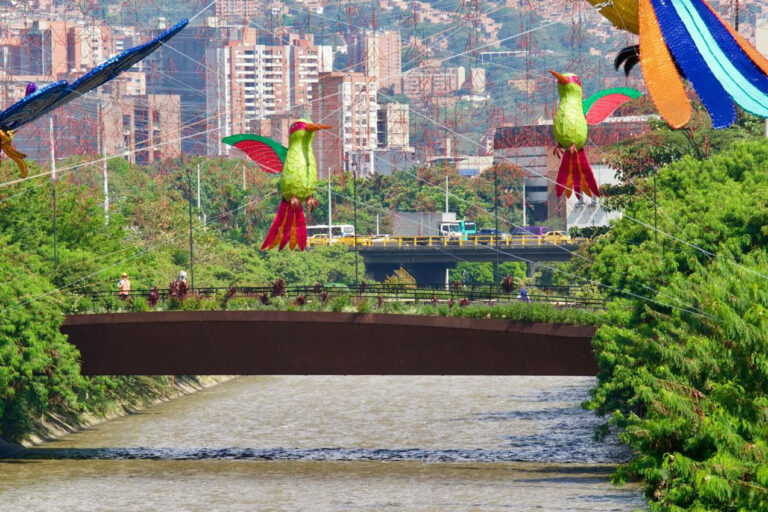 Imagen Mi Río, Mis Quebradas, Medellín presentó alianza para proteger los afluentes (4)