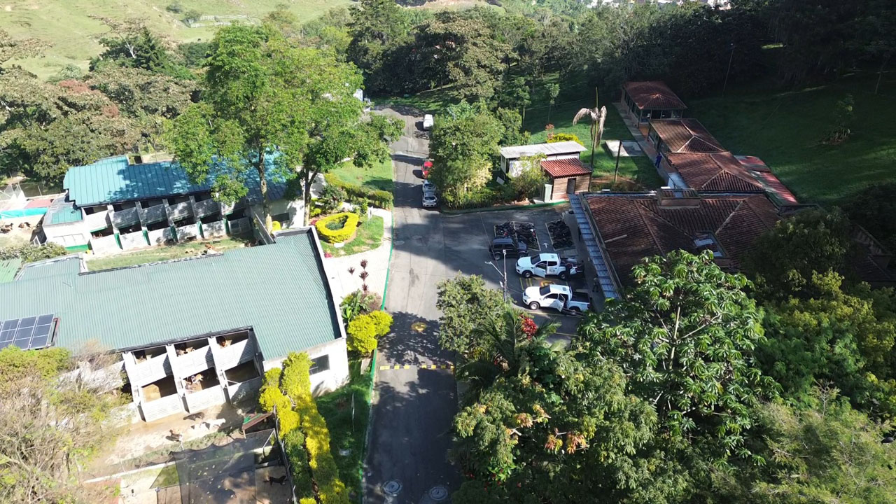 Adoptatón Imagen adoptatón de perros y gatos (4)