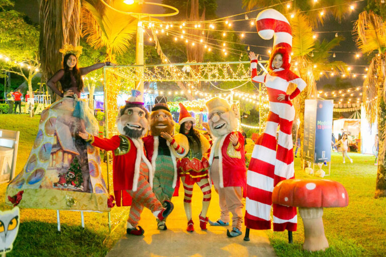 Imagen de Festival Navideño