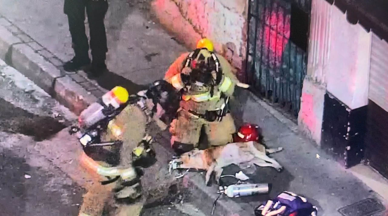 Imagen de bomberos atendiendo un perro