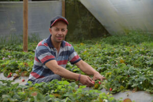 Imagen de campesino en sembrado