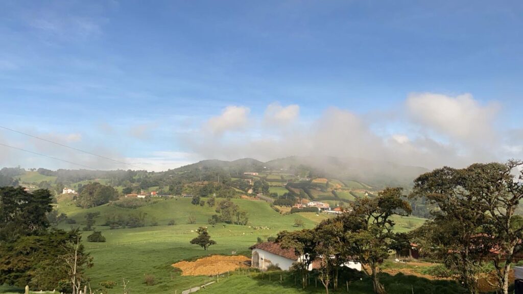 Imagen del campo foto1