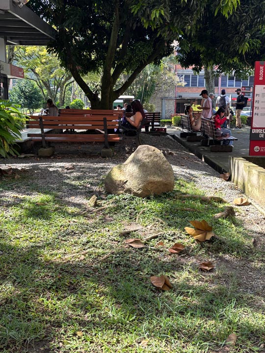 Imagen el vapor oculta los riesgos (1)