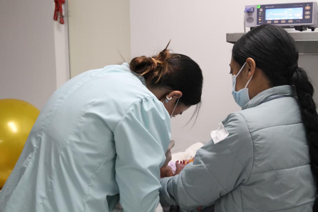 imagen los bebés prematuros viajan seguros (10)