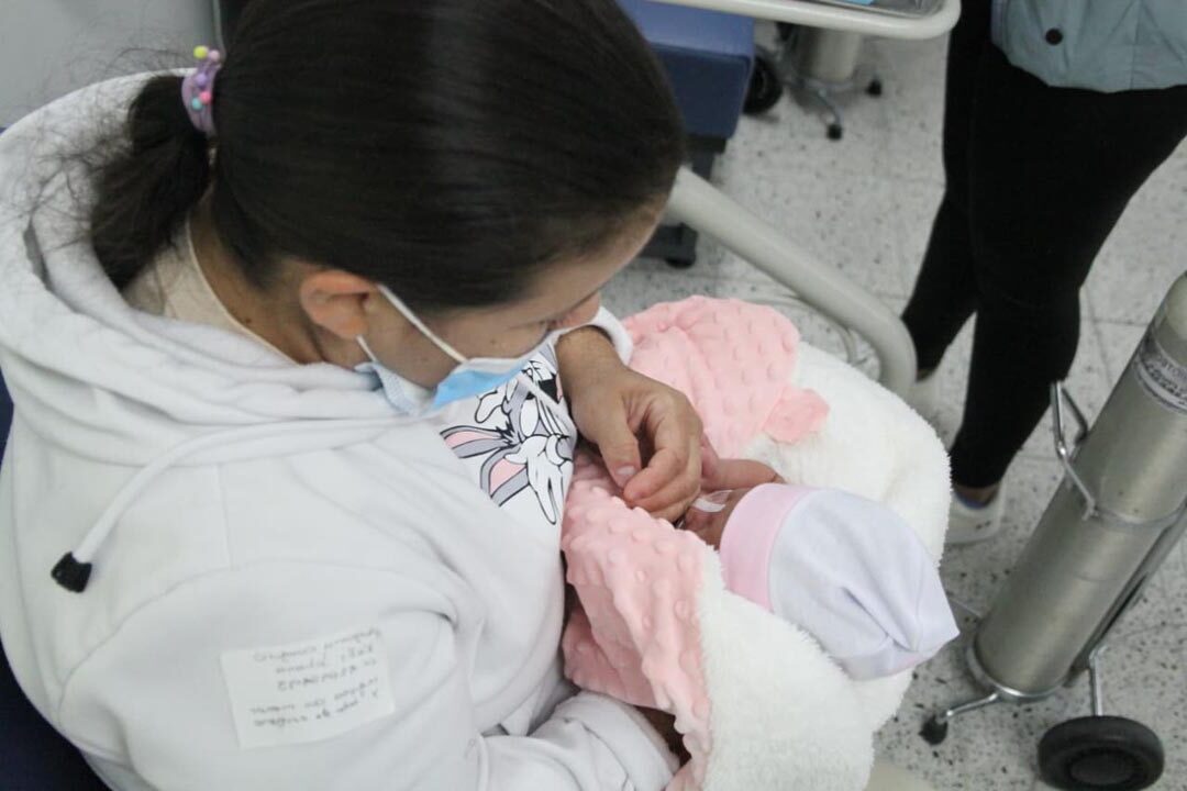 imagen los bebés prematuros viajan seguros (16)