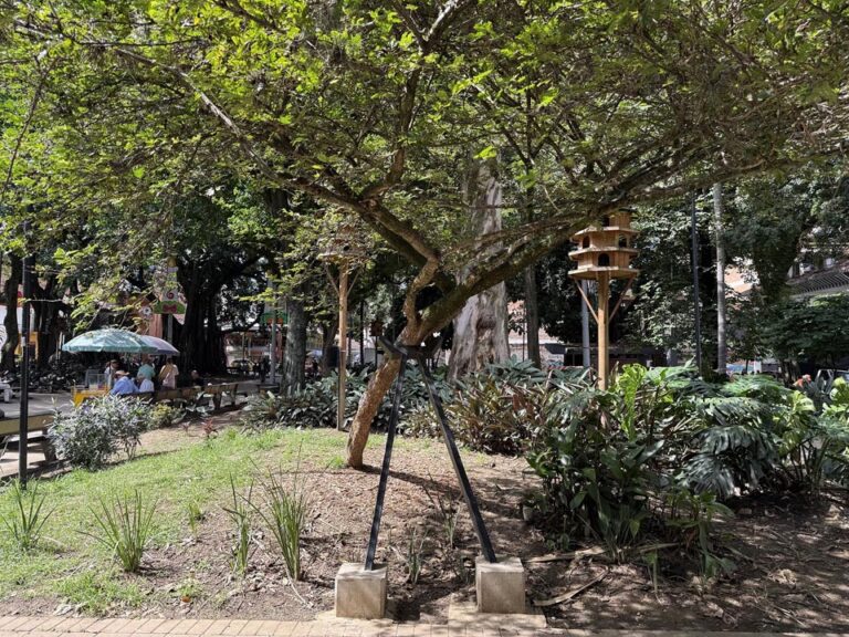 Imagen Árbol brazos de metal