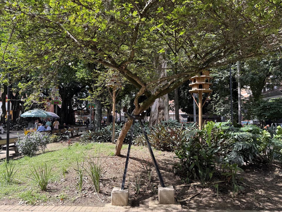 Imagen Árbol brazos de metal