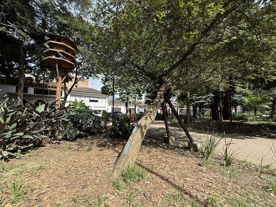 Imagen Árbol brazos de metal