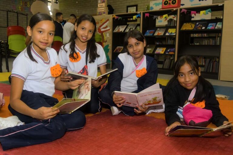 Imagen Las bibliotecas de las 229 instituciones