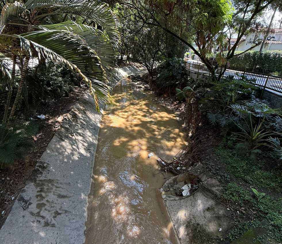 Recuperación de quebradas y ecosistemas Imagen Medellín avanza en la recuperación de quebradas y ecosistemas (1)
