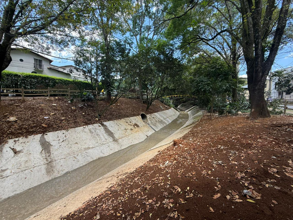 Imagen Medellín avanza en la recuperación de quebradas y ecosistemas (4)