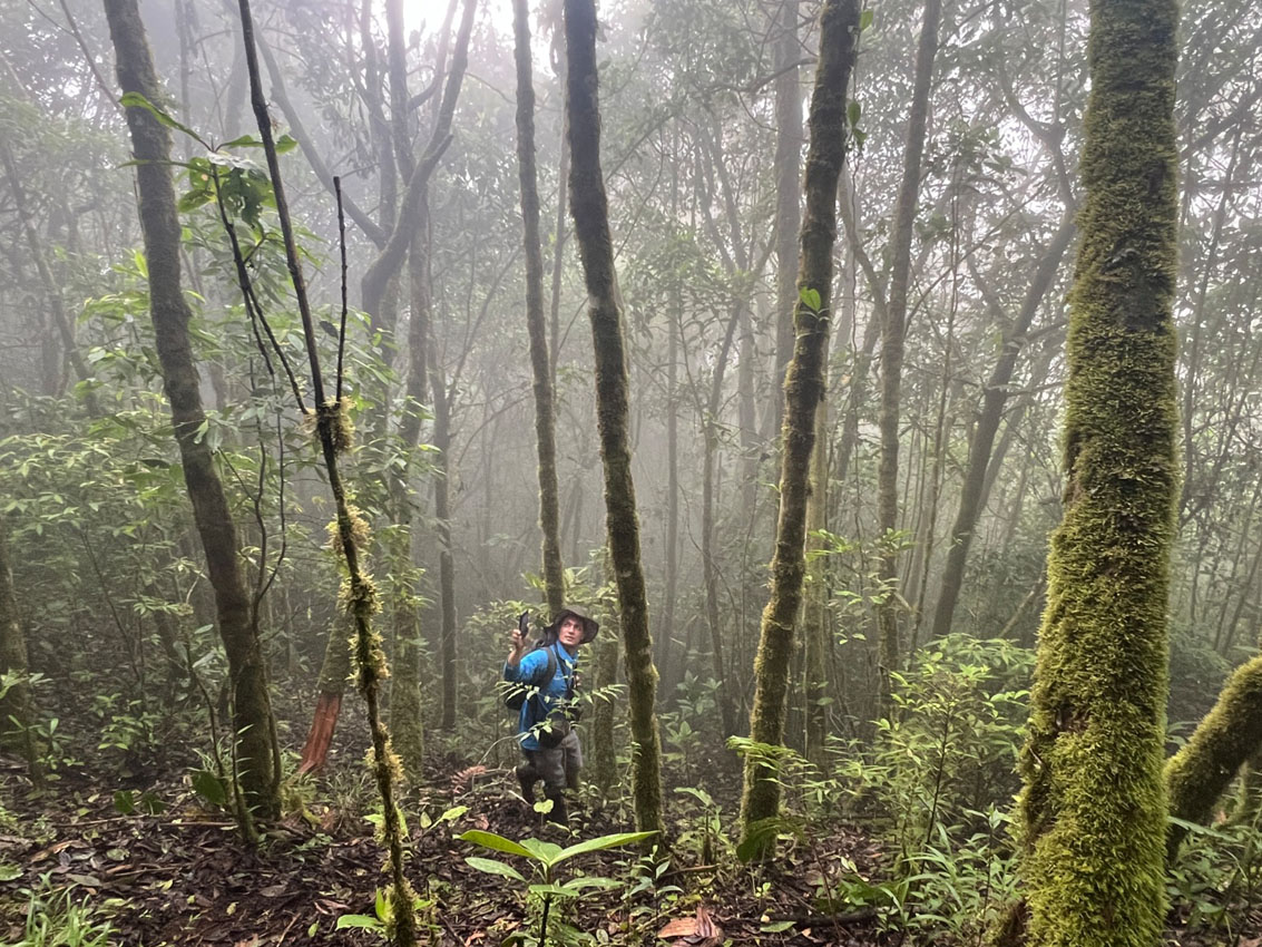 Imagen Medellín avanza en la recuperación de quebradas y ecosistemas (6)