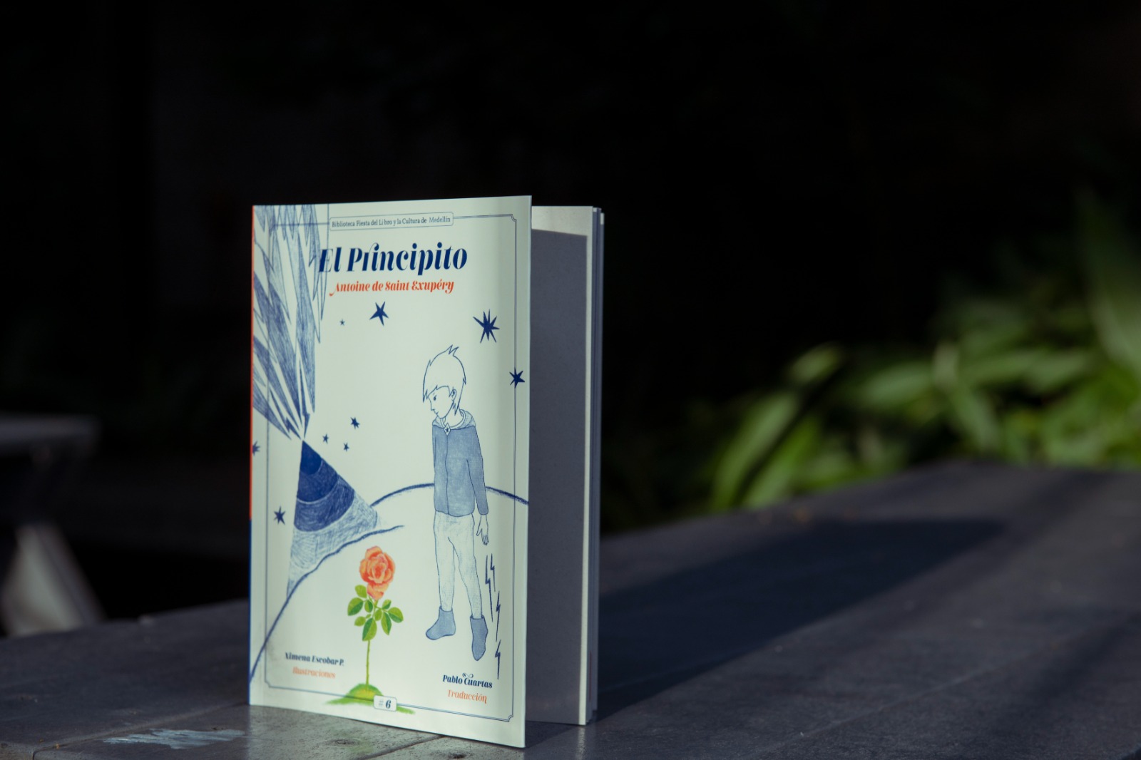 Imagen acceso a lecturas de acceso libre y digital (1)