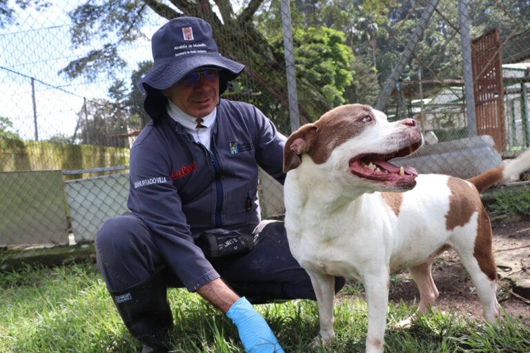 Imagen adopción responsable La Perla (1)