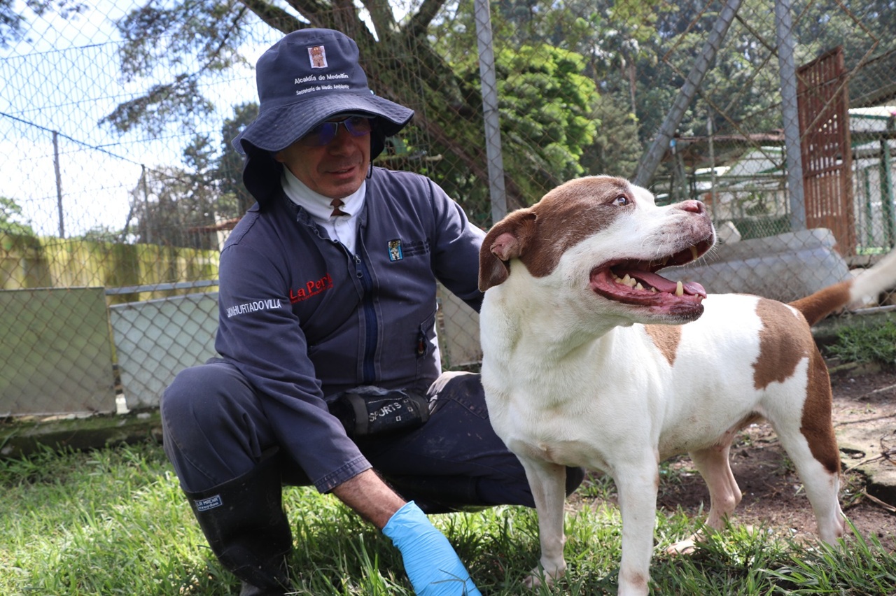 Imagen adopción responsable La Perla (1)