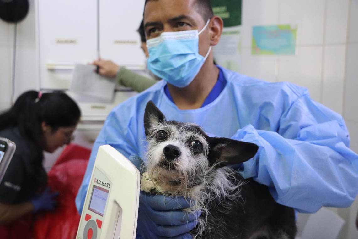 Imagen de funcionario veterinario con perrito rescatado