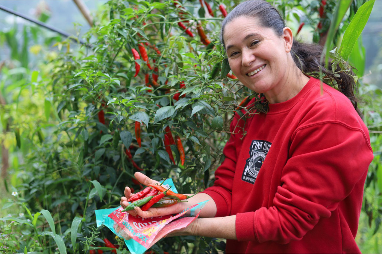 Huertas de autoconsumo Imagen huertas de autoconsumo para fortalecer la seguridad alimentaria y productividad (3)