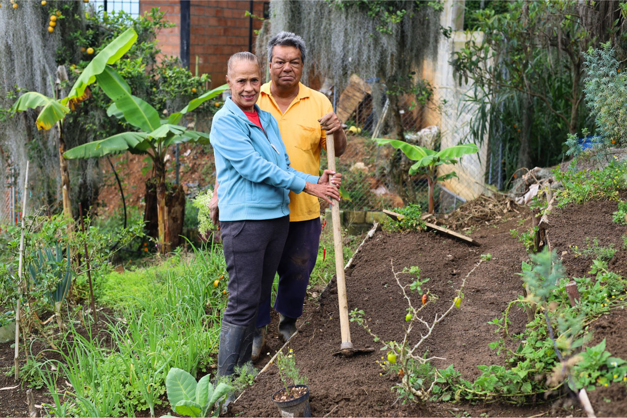Imagen huertas de autoconsumo para fortalecer la seguridad alimentaria y productividad (4)