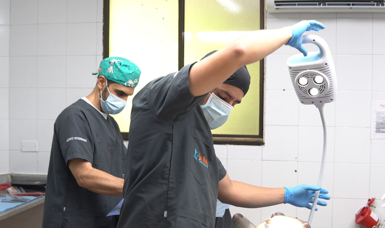 Imagen no usar pólvora. La Perla (4)