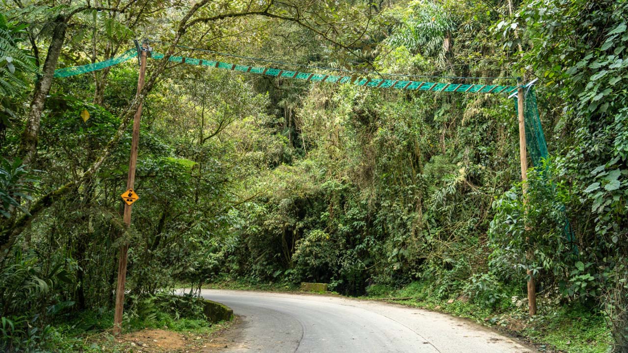 Imagen nuevos pasos para proteger a la fauna (1)