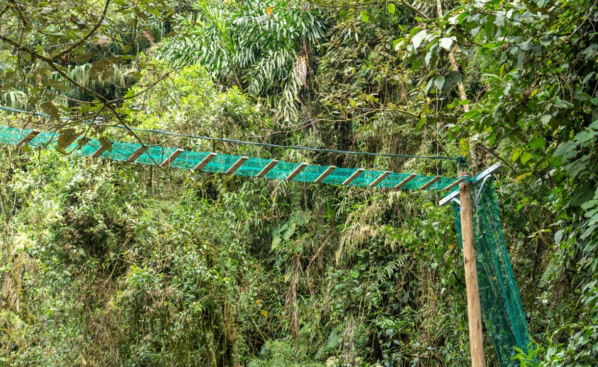 Imagen nuevos pasos para proteger a la fauna (1)