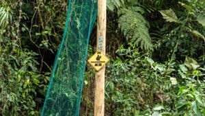 Imagen nuevos pasos para proteger a la fauna (1)