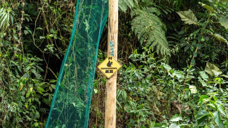 Imagen nuevos pasos para proteger a la fauna (1)