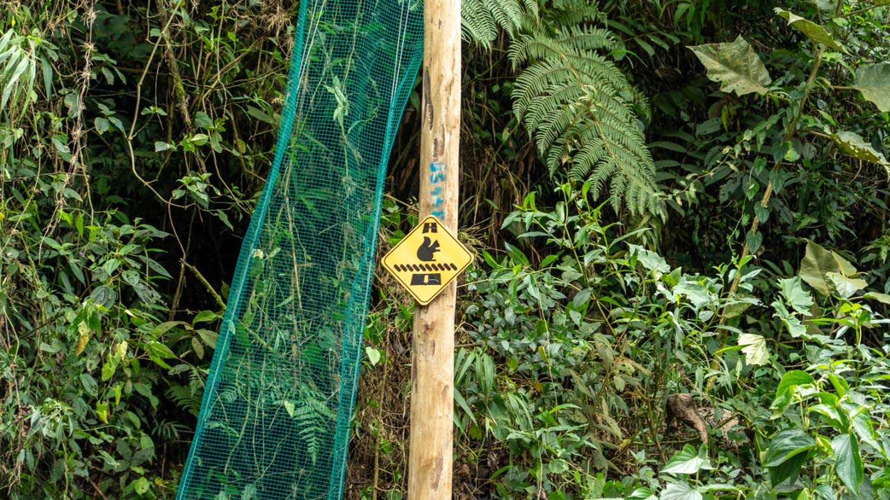 Imagen nuevos pasos para proteger a la fauna (1)