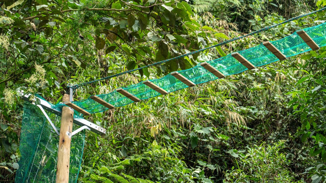 Imagen nuevos pasos para proteger a la fauna (1)