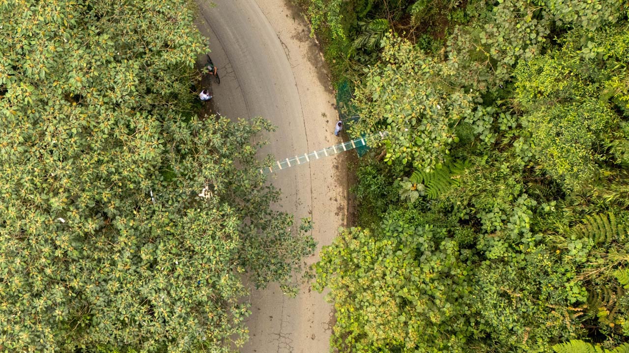 Imagen nuevos pasos para proteger a la fauna (1)