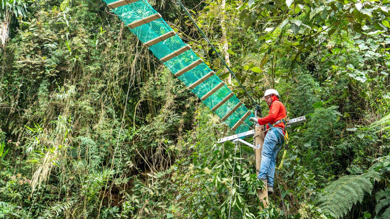 Imagen nuevos pasos para proteger a la fauna (1)