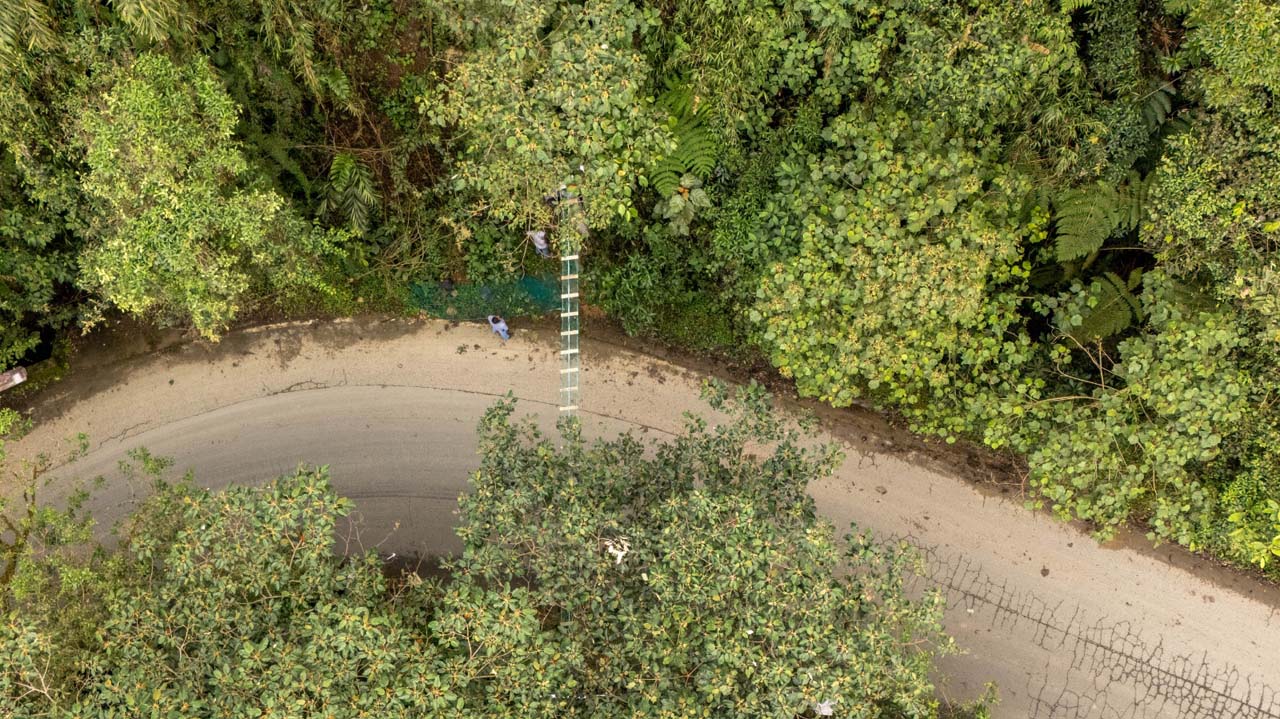 Imagen nuevos pasos para proteger a la fauna (1)