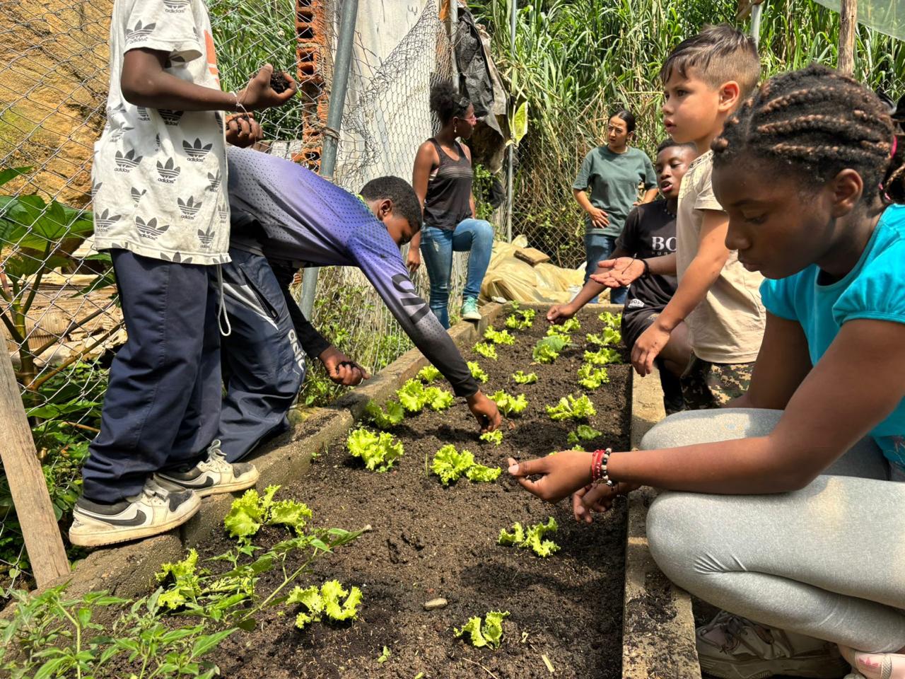 Imagen procesos pedagógicos financiados con Presupuesto Participativo (1)