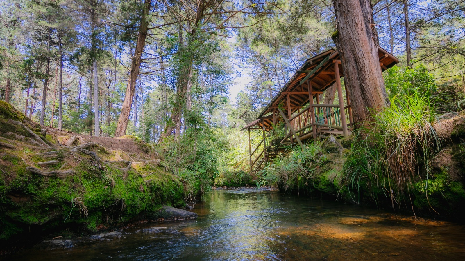 Las maravillas del Arví y los cerros tutelares (1)