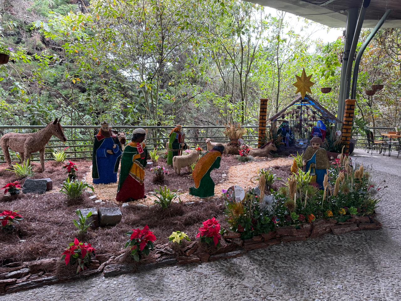 Las maravillas del Arví y los cerros tutelares (1)