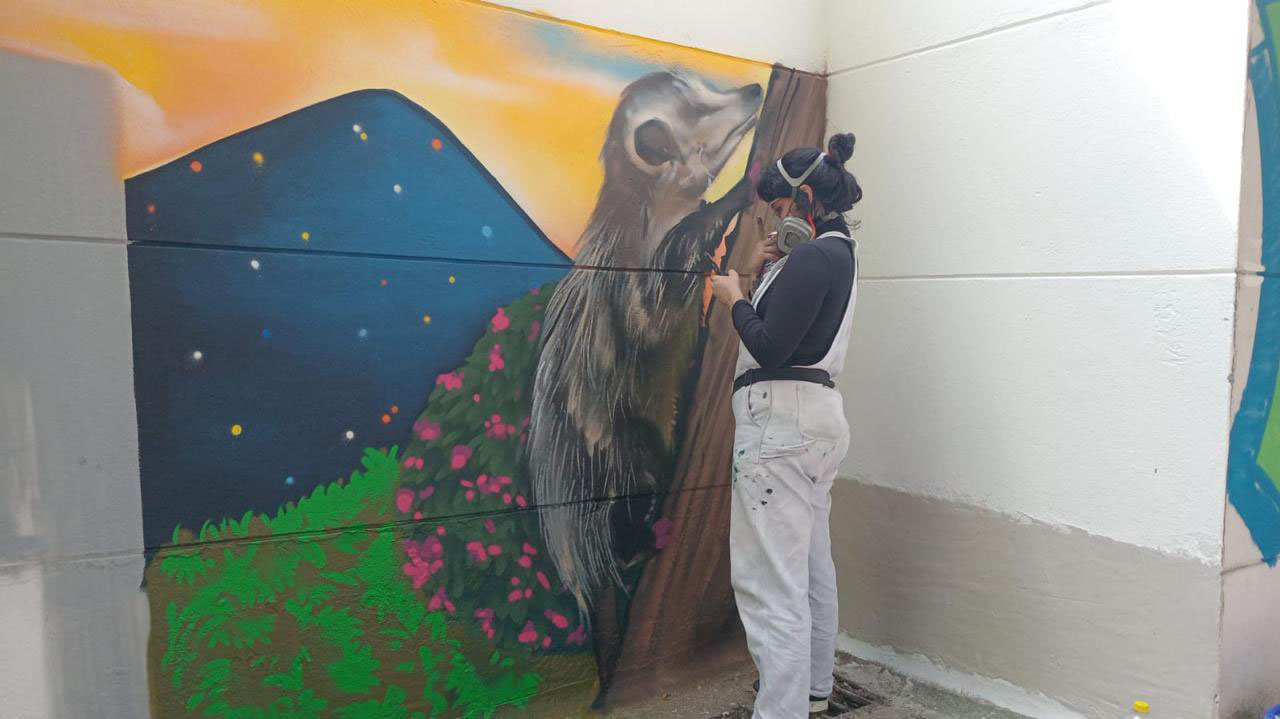 MORFE - FLORESTA (1)